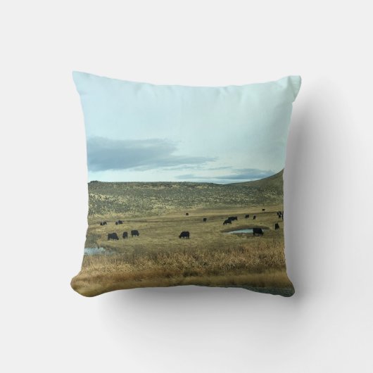 オレゴン州ルーラルベイカー郡 クッション (正面)