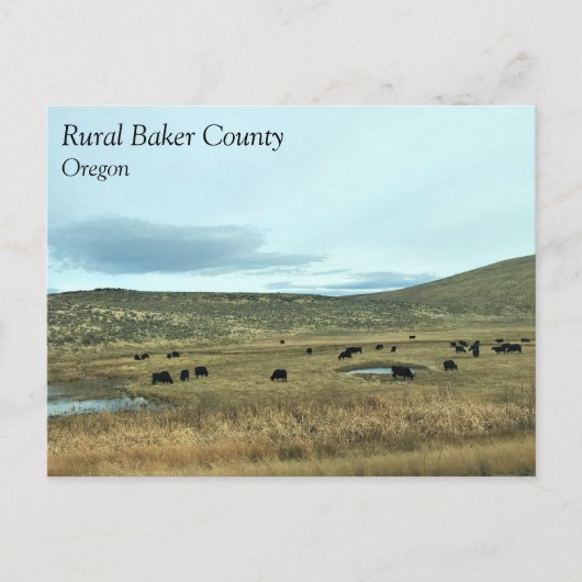 オレゴン州ルーラルベイカー郡 ポストカード (正面)