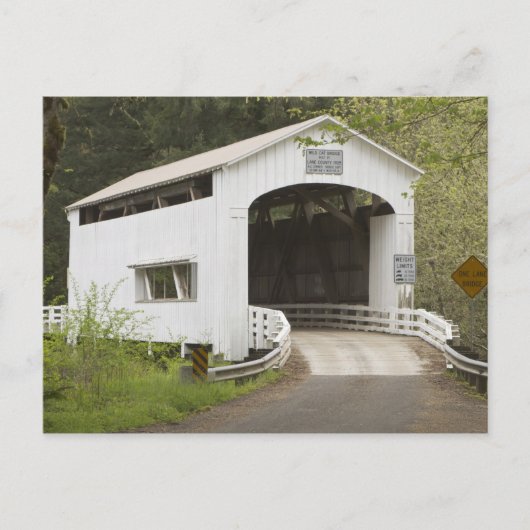 オレゴン州レーン郡ワイルドキャットカバー橋 ポストカード (正面)