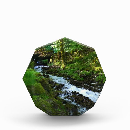 オレゴン州ワキーナ滝の流出水 フォトブロック (正面)