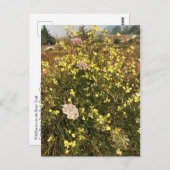 オレゴン州沿岸のケープ・ブランコでワイルドフラワー ポストカード (正面/裏面)