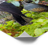 オレゴン州西部の裏庭の鳥 ポスター (角)