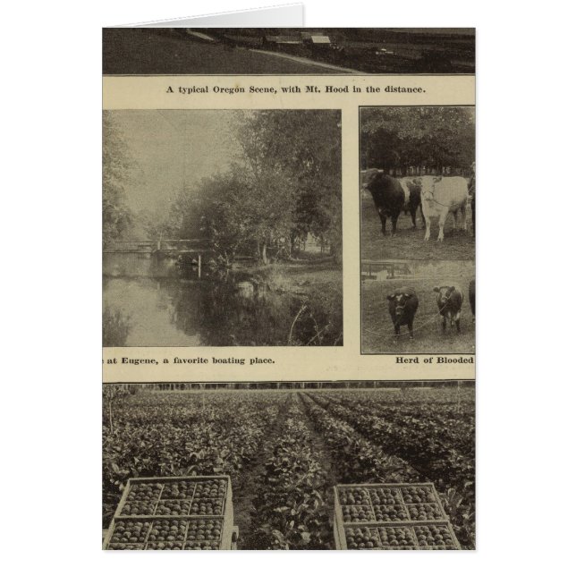 オレゴン州豊か (正面)