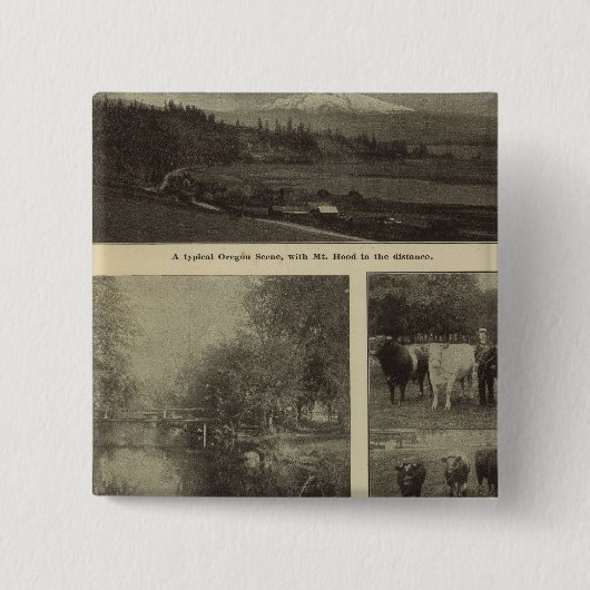 オレゴン州豊か 缶バッジ (正面)