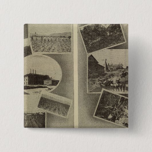 オレゴン州農業の繁栄 缶バッジ (正面)