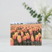 オレゴン州黄&ピンクチューリップ ポストカード (スタンド正面)