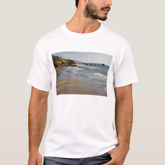 オレゴン州, オレゴン海岸, エコラ州立公園, インディアン Tシャツ (正面)