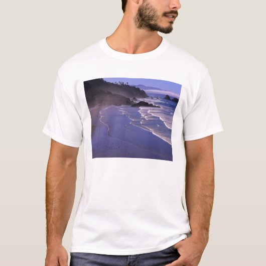 オレゴン州、オレゴン海岸、エコーラ州立公園、インディアン・ビーチ Tシャツ (正面)