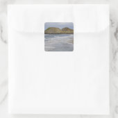 オレゴン州、オレゴン海岸、シールロック州立公園 スクエアシール (バッグ)