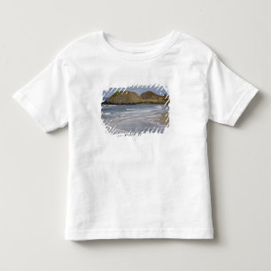 オレゴン州、オレゴン海岸、シールロック州立公園 トドラーTシャツ