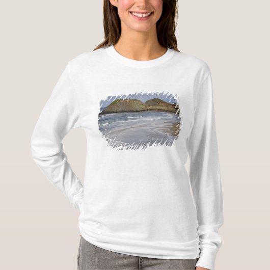 オレゴン州、オレゴン海岸、シールロック州立公園 Tシャツ (正面)