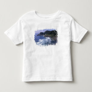 オレゴン州、オレゴン海岸、ヘシータ・ヘッド灯台 トドラーTシャツ
