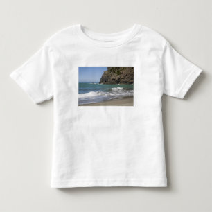 オレゴン州、オレゴン海岸、ホエールズヘッドビーチ、南 トドラーTシャツ