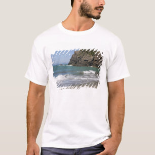 オレゴン州、オレゴン海岸、ホエールズヘッドビーチ、南 Tシャツ