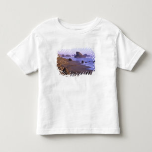 オレゴン州、オレゴン海岸、マイヤーズクリーク、岩の形成 トドラーTシャツ