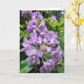 オレゴン州，カタウビエンスブルザルトロドンドロン カード (黄色い花)