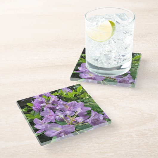 オレゴン州，カタウビエンスブルザルトロドンドロン ガラスコースター (アングル)