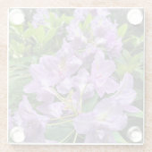 オレゴン州,カタウビエンスブルザルトロドンドロン ガラスコースター (裏面)