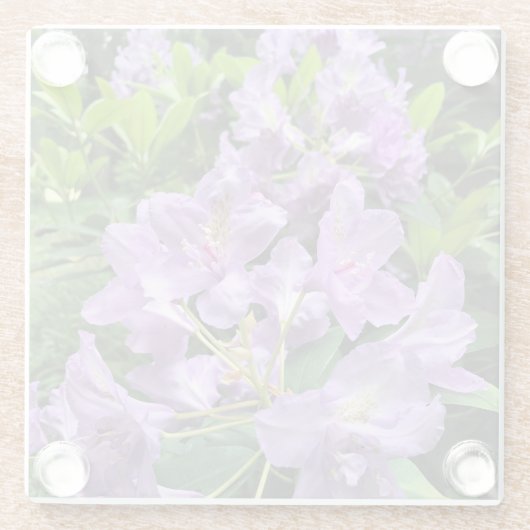 オレゴン州,カタウビエンスブルザルトロドンドロン ガラスコースター (裏面)