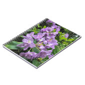 オレゴン州,カタウビエンスブルザルトロドンドロン ノートブック (左側)