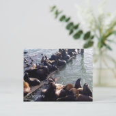 オレゴン州 ポストカード (スタンド正面)