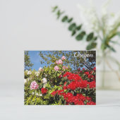 オレゴン州 ポストカード (スタンド正面)