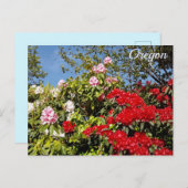 オレゴン州 ポストカード (正面/裏面)