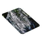 オレゴン州，森の滝 マグネット (右側)