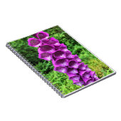 オレゴン州Foxglove花 ノートブック (右側)