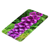 オレゴン州Foxglove花 マグネット (左側)