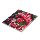 オレゴン州Leen Van Der Mark Tullips タイル (側面)