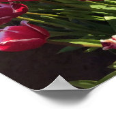 オレゴン州Leen Van Der Mark Tullips ポスター (角)