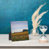 オレゴン州Mt. Hoodのチューリップフィールド フォトプラーク (インサイチュ)