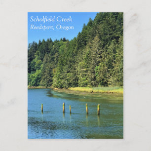 オレゴン州Reedsport,ショールフィールドクリーク ポストカード