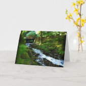 オレゴン州Wahkeena滝からのランオフ カード (黄色い花)