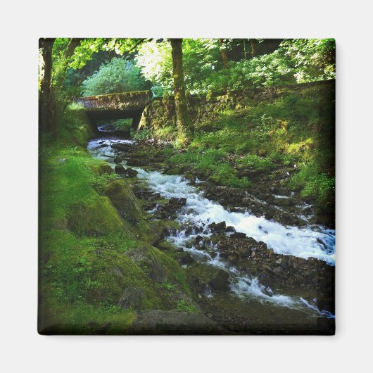 オレゴン州Wahkeena滝からのランオフ マグネット (正面)