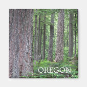 オレゴン常緑森林 マグネット (正面)