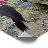 オレゴン東部の裏庭の鳥 ポスター (角)