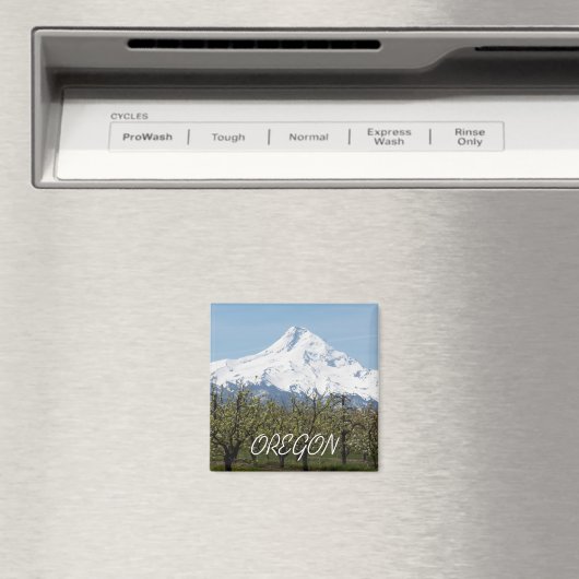 オレゴン果樹園と山フード マグネット (インサイチュ (食洗機))