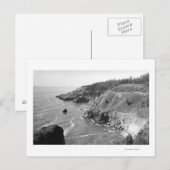 オレゴン海岸北のLook Out Fowlweathe ポストカード (正面/裏面)