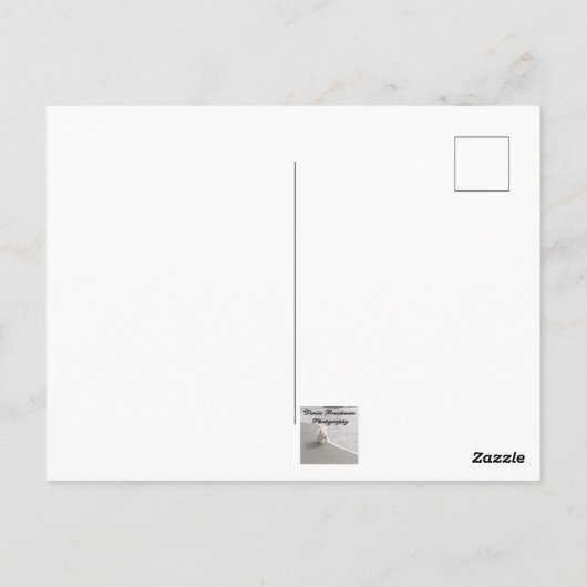 オレゴン海岸日没はがき ポストカード (裏面)