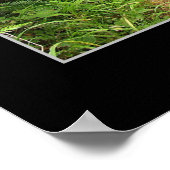 オレゴン海岸 – ケープルックアウト ポスター (角)