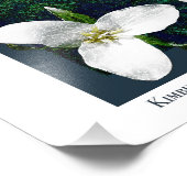 オレゴン滝ポスター フォトプリント (角)