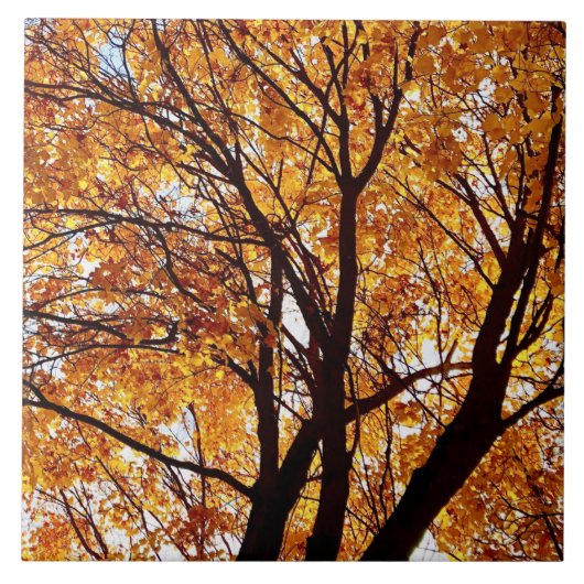 オレゴン紅葉 タイル (正面)
