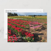オレゴン葉書のチューリップファーム ポストカード