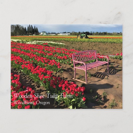 オレゴン葉書のチューリップファーム ポストカード