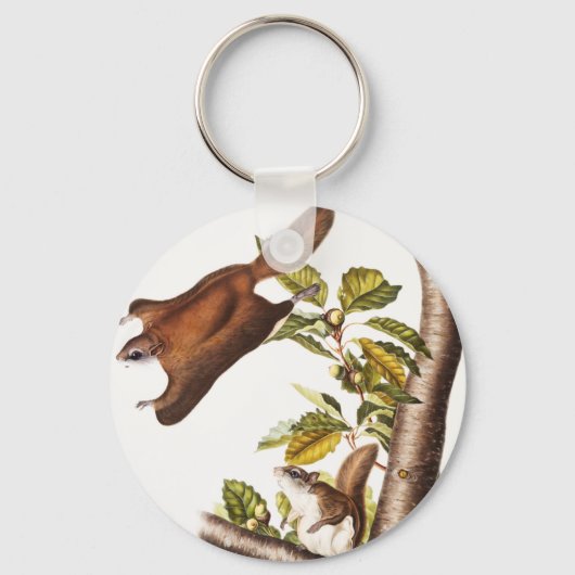 オレゴン飛んでいるリス(Pteromys Origonensis) キーホルダー (正面)