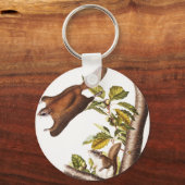 オレゴン飛んでいるリス(Pteromys Origonensis) キーホルダー (正面)