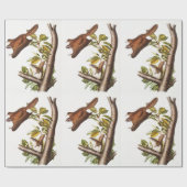 オレゴン飛んでいるリス(Pteromys Origonensis) ラッピングペーパー (フラット)