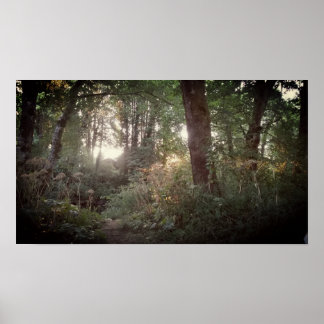 オレゴン魔法 – ポスター